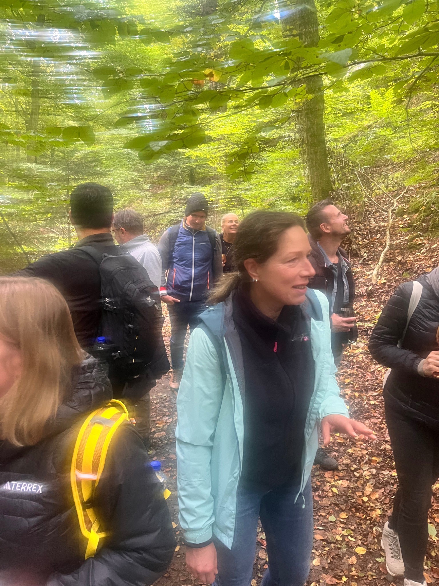 Die Instituts-Belegschaft mit Tine auf Kräuter-Expedition im Wald.