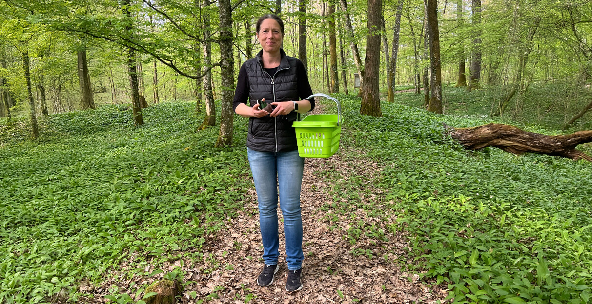 Tine mit grünem Sammelkorb auf einem Waldweg zwischen frischen Kräutern.